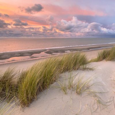 Schiermonnikoog banner Dagtocht Schiermonnikoog